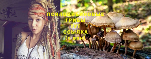 амфетамин Инсар